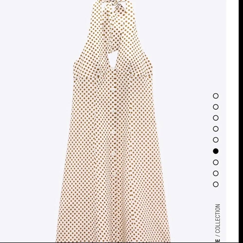 Zara polka dot dress bloggers fav - Picture 14 of 16